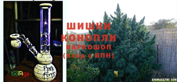 меф Арсеньев