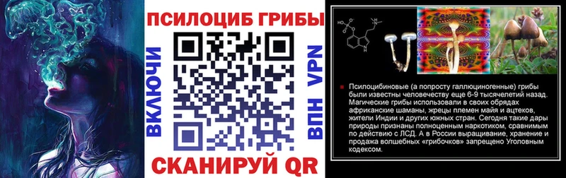 Псилоцибиновые грибы MAGIC MUSHROOMS  продажа наркотиков  Спасск-Дальний 
