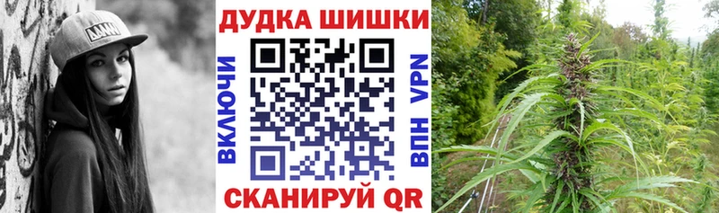сайты даркнета наркотические препараты  как найти наркотики  кракен ТОР  Спасск-Дальний  Каннабис план 